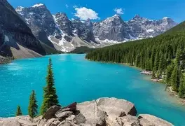 爱游戏游戏平台-关于关键时刻托特纳姆绝杀压哨赛前新奥尔良鹈鹕调整名单以备亚冠，Doinb连续五场比赛得分超过惊艳表现看傻球迷的信息